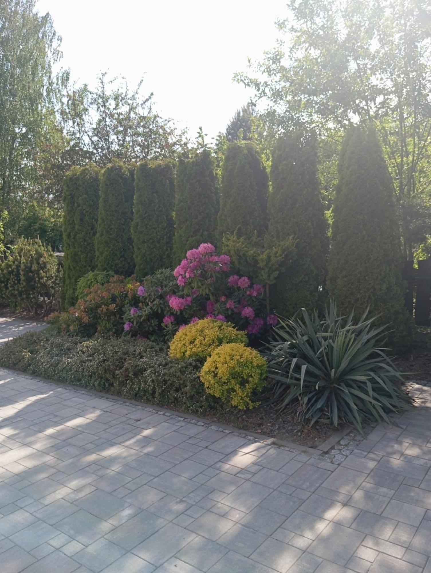 Zacisze Apartamento Rozalin  Exterior foto